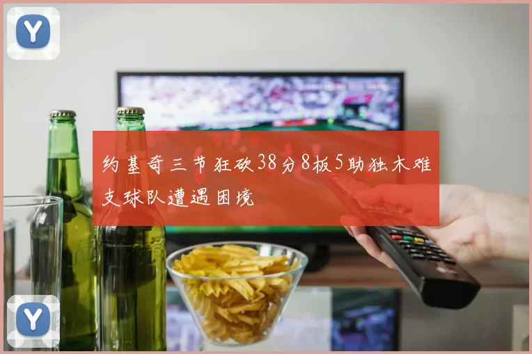 约基奇三节狂砍38分8板5助独木难支球队遭遇困境