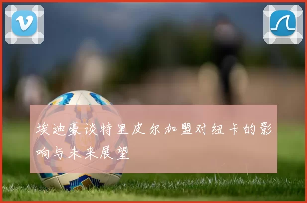 埃迪豪谈特里皮尔加盟对纽卡的影响与未来展望